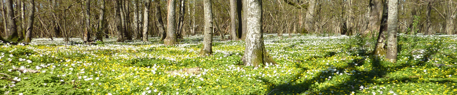 Artikkelbilde til artikkelen Årsrapport for Utvalgte kulturlandskap 2025