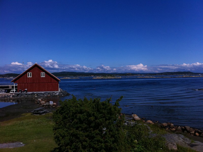 Medlemsbrev 123 - mars 2021