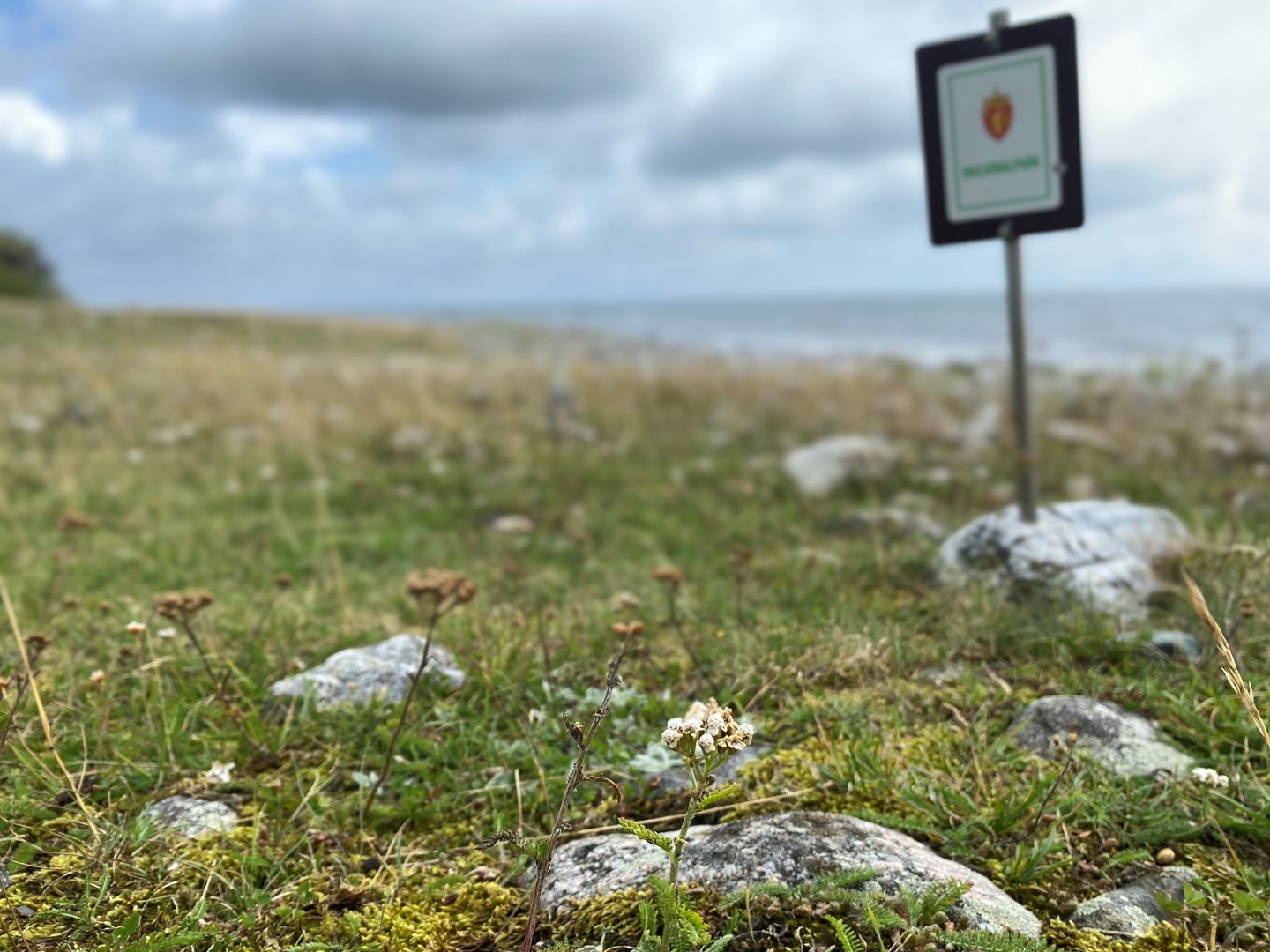 Informasjonsmøte Nasjonalparksenter