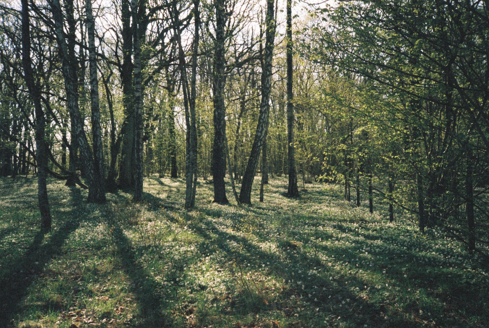 Årsrapport for Utvalgte kulturlandskap 2024